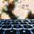 Technology Reduces Friction Across Daily Small Business Operations